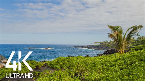4k4k Hdr Hookipa Lookout Hawaii Nature Sounds Of The Pacific Ocean