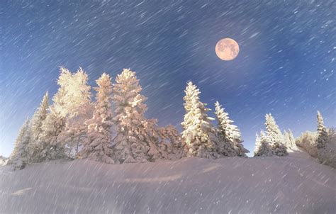 Full Moon On Snowy Night