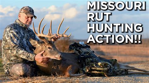 Missouri Rut Hunting Action November Bowhunting Youtube