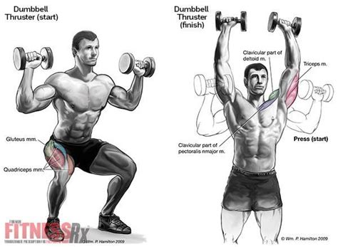 Explosive Power And Fitness With Dumbbell Thrusters Leg Workout Men