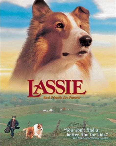 Les Nouvelles Aventures De Lassie