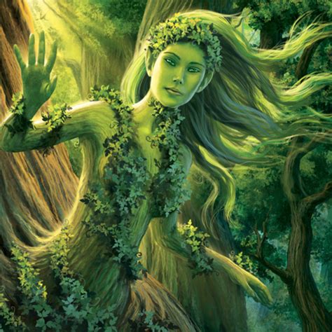 Dryads Tree Derek Fiechter