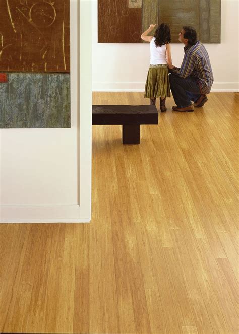 Teragren Synergy Wide Plank Strand Bamboo Flooring 1 Best Buy In