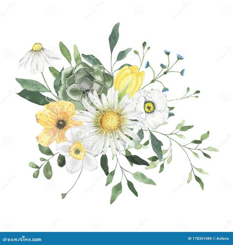 Watercolor Summer Floral Fields Bouquet With Daisy Narcissus Flowers