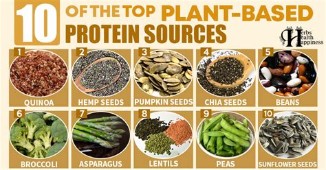 10 Of The Top Plant Based Protein Sources Herbs Health And Happiness