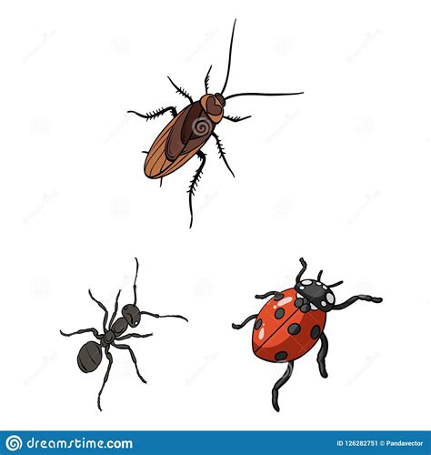 Different Kinds Of Insects Cartoon Icons In Set Collection For Design Insect Arthropod Vector