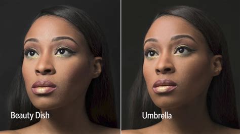 How To Make A Diy Beauty Dish For Less Than 7 Petapixel