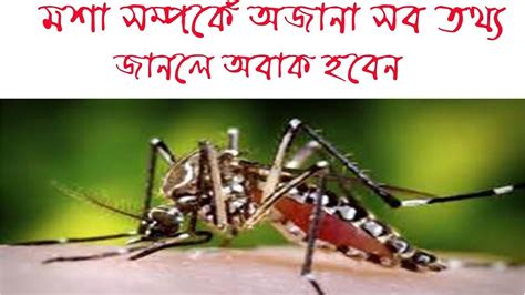 Top 10 Amazing Facts About Mosquito।।unbelievable Facts About Mosquito
