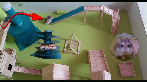 Parc De Jeux Pour Hamster Hamsterland Popsicle Stick 🐹 Youtube