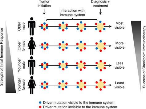 Proposed Model Of The Relationship Between Immune Selection And