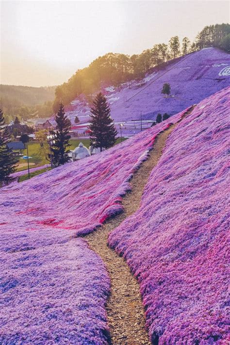 The 10 Most Beautiful Places In Japan Avenly Lane Travel