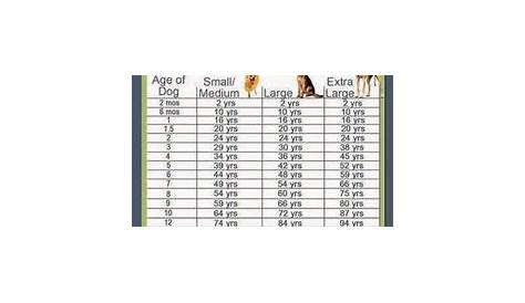 yorkie puppy weight chart