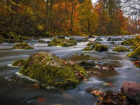 Nature Landscape Autumn Colors Forests Trees River Rocks Green Moss