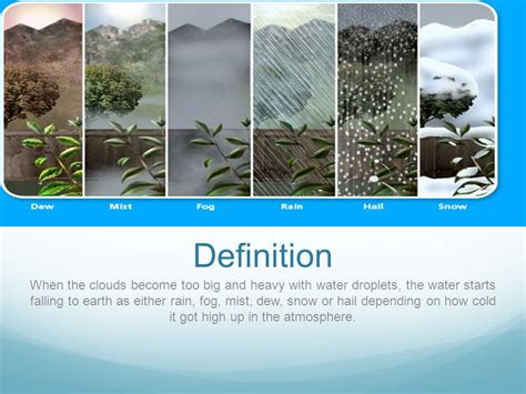 Kmhouseindia Difference Between Fog Mist And Dew