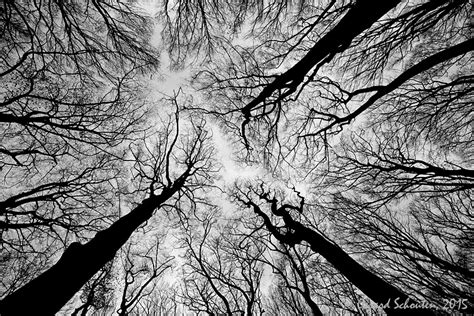 Gerard Schouten Nature Photography Reichswald