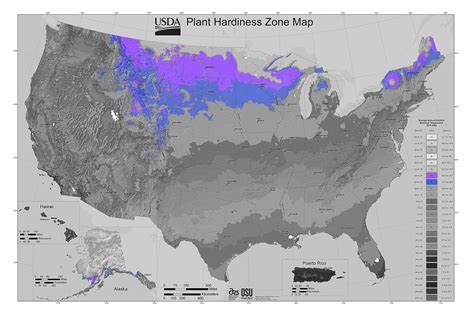 Usda Gardening Zone 4 Lovetoknow