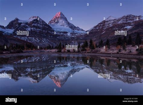 Early Light On Mount Assiniboine Reflected In A Tarn Near Lage Magog