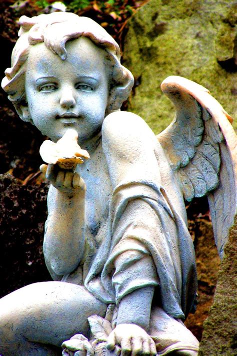 Angelic ☫ Winged Cemetery Angels And Zen Statuary Cherub With Bird
