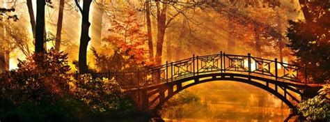 We did not find results for: photo de couverture automne facebook - Photos de nature