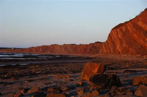 Guided Tours Joggins Fossil Cliffs Nova Scotia Canada Unesco World
