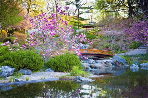 23 Garden Landscape Idea Zen Garden Talkdecor