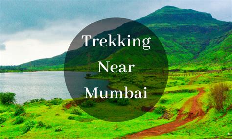 Top 10 Monsoon Trekking Places Near Mumbai Couponmoto
