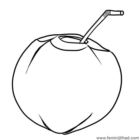 Coconut Coloring Pages Coloring For Fun
