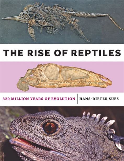 The Rise Of Reptiles 320 Million Years Of Evolution Nokomis