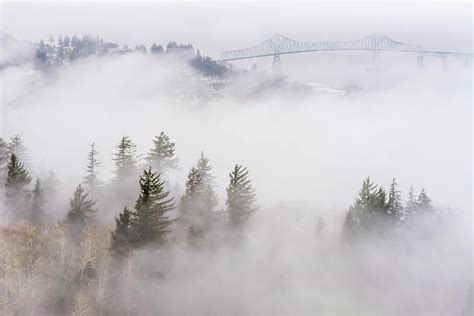 Fog Blankets The Hills Photograph By Robert L Potts Fine Art America