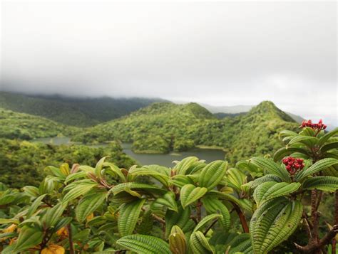 morne trois pitons national park dominica national parks island park dominican republic travel