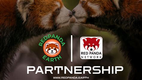 Redpanda Earth Partners With Red Panda Network — The World Leader In