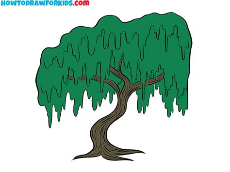 How To Draw A Willow Tree Easy Drawing Tutorial For Kids