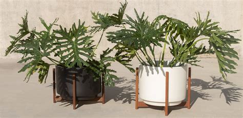Case Study Ceramics Raised Medium High Pan With Wood Stand Modernica Inc