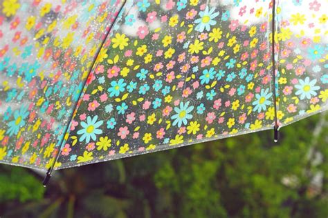 Rain Drops On Colorful Flower Umbrella Stock Image Image Of Floods