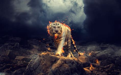 Raging White Tiger Wallpapers Hd Wallpapers Id 25213