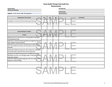Explore Our Sample Of Medical Chart Audit Tool Template