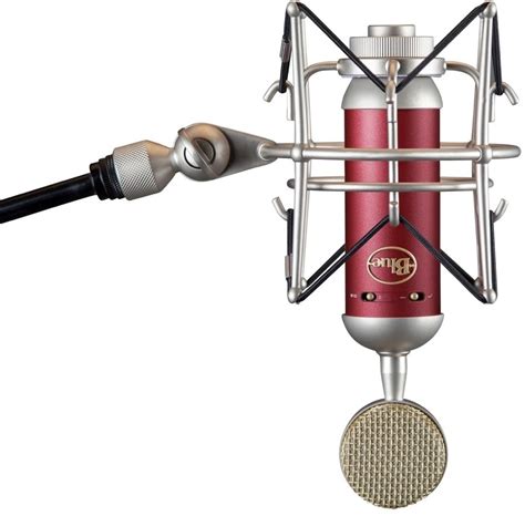 It's a question of budget, quality and flexibility. Blue Spark SL Cardioid Large Diaphragm Condenser Microphone