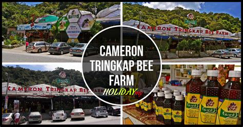Cameron highlands is situated in pahang, west malaysia. Cameron Tringkap Bee Farm | Cameron Highlands Online