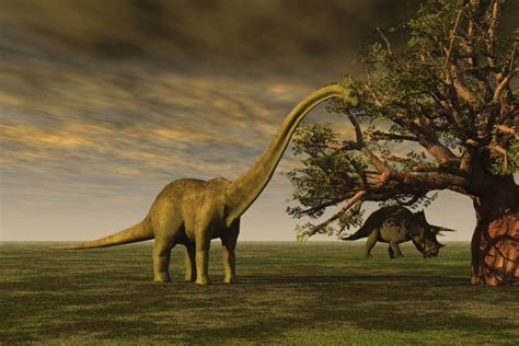 Scientists Say They Can Recreate Living Dinosaurs Within