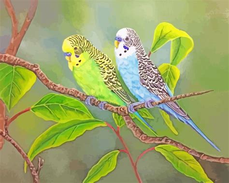 Aesthetic Budgie Birds Paint By Numbers Canvas Paint By Numbers