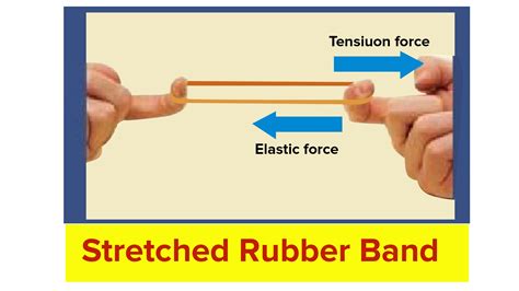 Name The Force Acting On A Stretched Rubber Band
