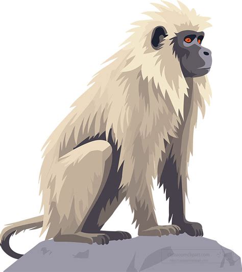Baboon Clipart Baboon Sits On A Large Rock Clip Art