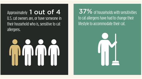 Allergen Sensitive Cat Owners Go To Great Lengths To Manage Allergens