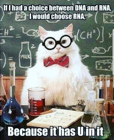 Pin On Science Jokes Free Nude Porn Photos