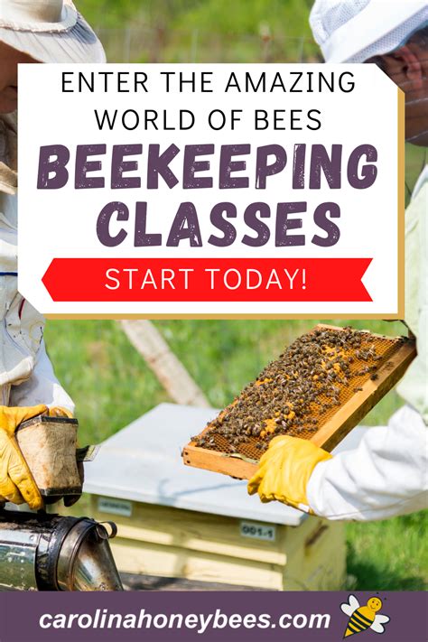 Learn The Basics And Beyond With These Comprehensive Beginner Beekeeper Classes Developed By A