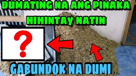 Sa Wakas Dumating Na Ang Pinaka Hihintay Natin Linis Linis Din Pag May Time Youtube