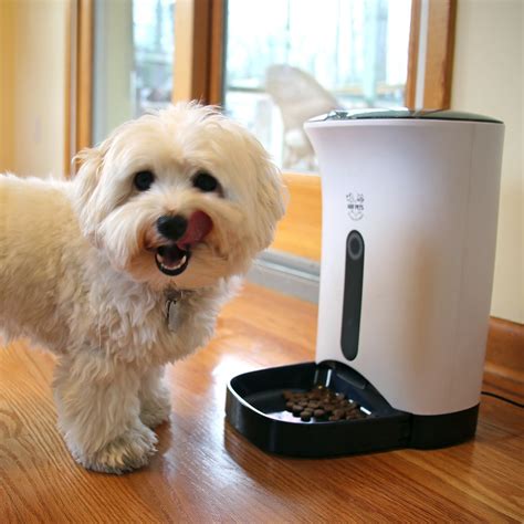 Arf Pets Automatic Pet Feeder Food Dispenser Dogs Cats Small Animals