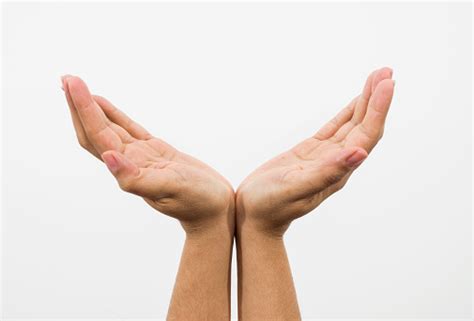 Female Hands Holding Up Something Stock Photo Download Image Now Istock