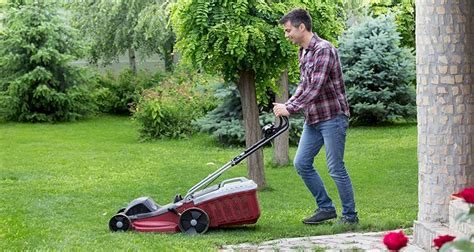How much does full service lawn care cost. How Much Does a Gardener Cost?