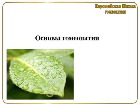 Биологическая медицина Основы гомеопатии Основы гомеопатии